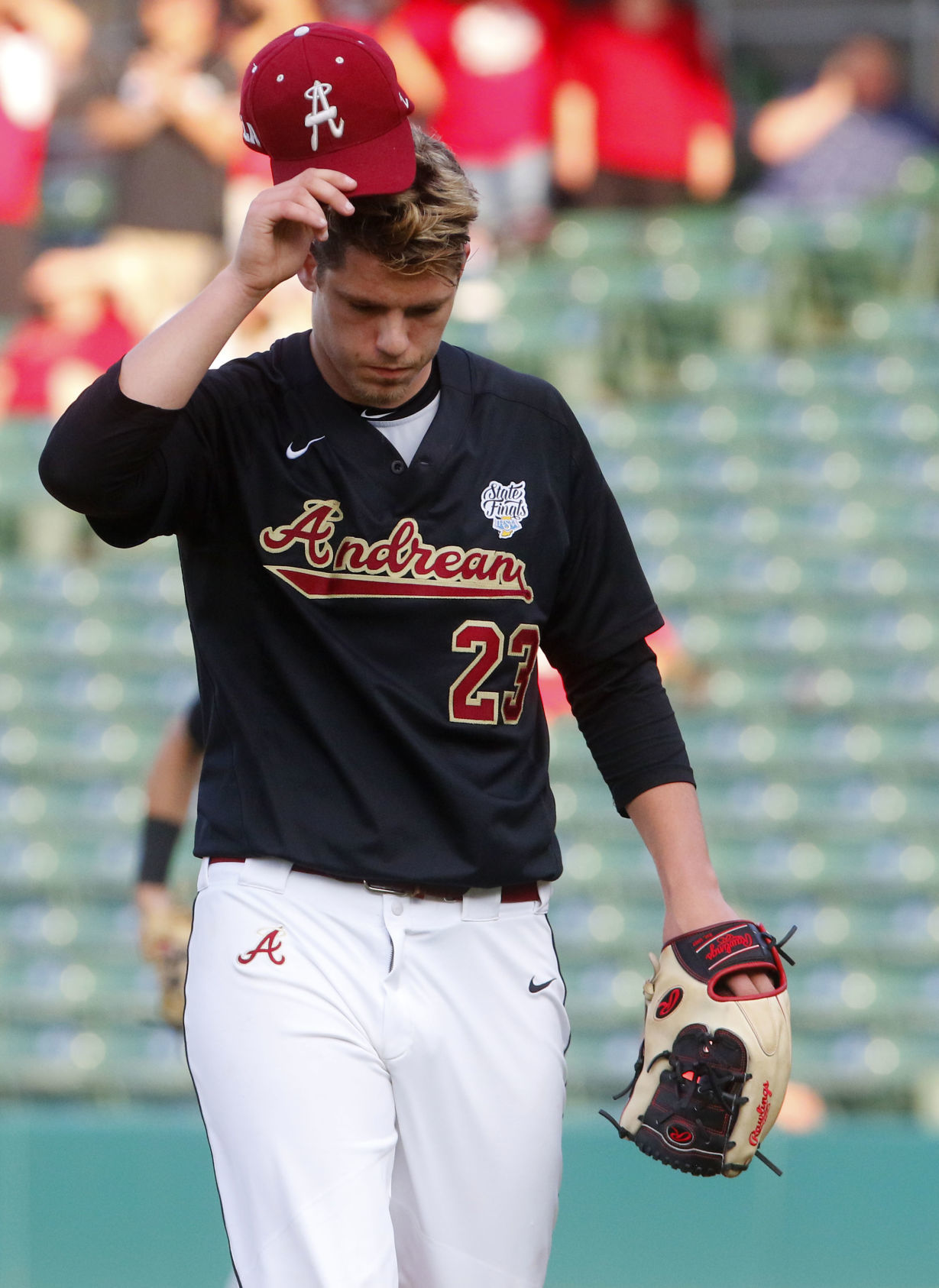 Gallery: Class 3A baseball championship: Andrean vs. Edgewood